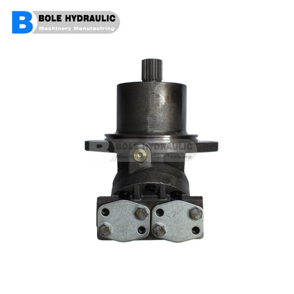 Baile Hydraulic A2FE63 A2FE80 A2FE90  series 6x Rexroth Axial Piston Fixed Motor